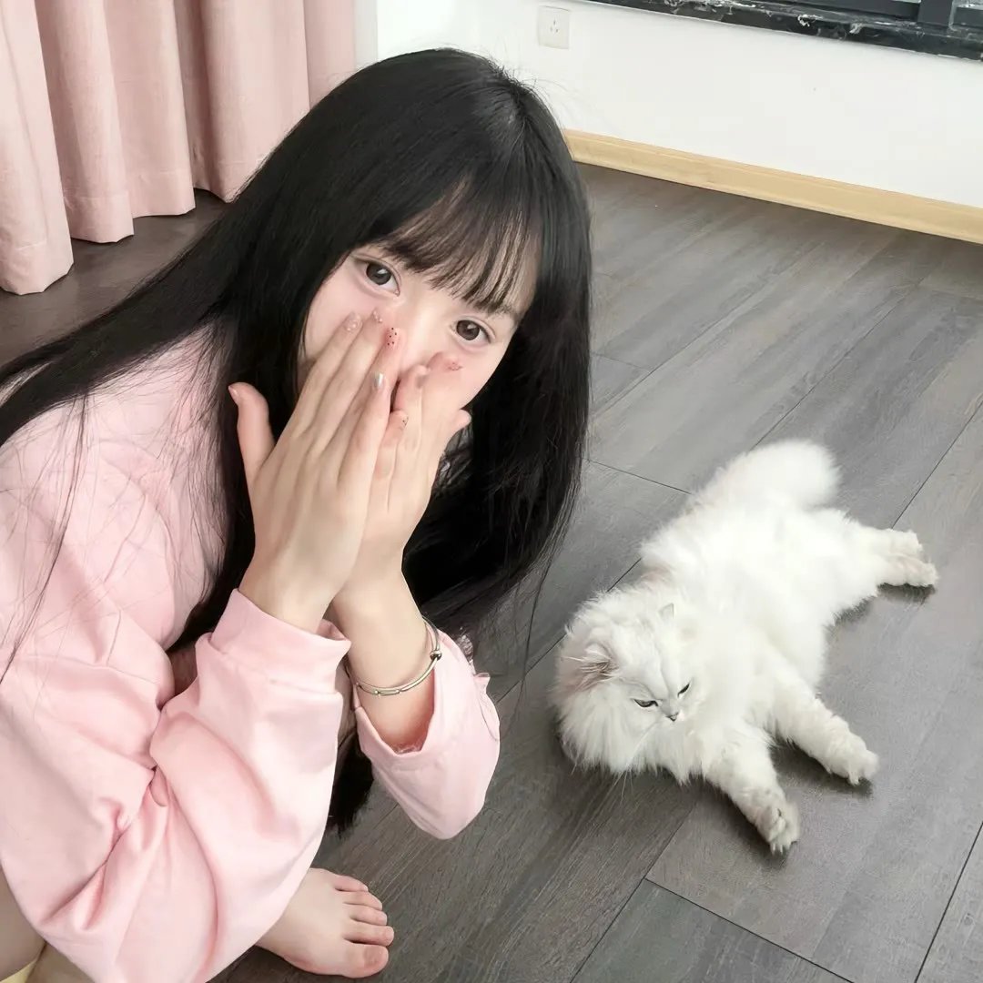 铿锵玫瑰